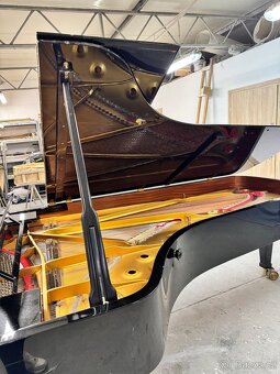 Steinway & Sons Modell D- 274 cm Only now super price - 7