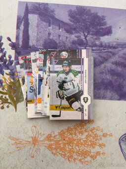 Hokejové kartičky sportzoo tipSport ELH - 7