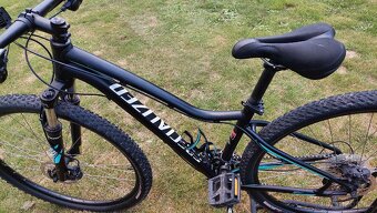 Specialized jett dámské 29 - 7