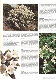 Kniha ZIMA V ZAHRADĚ - 7