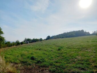 Stavební parcela vč. st. povolení, louka 26 000 m2 - 7