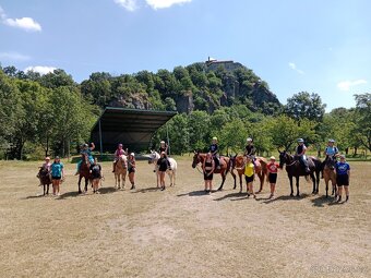 Pastevní ustájení u Pardubic - 7