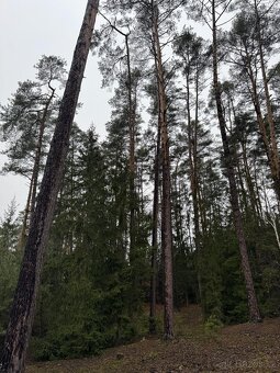 Prodám pozemky v k.ú. Veliny - 7