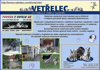 Hlídání psů - ubytování v psím hotelu AX - 7