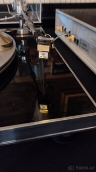 Transrotor Golden Shadow - 7