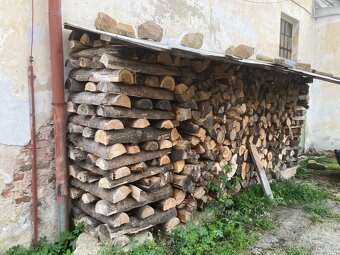 Palivové dřevo - 7