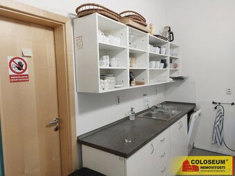 Brno - Horní Heršpice, pronájem kancelářské budovy, openspac - 7