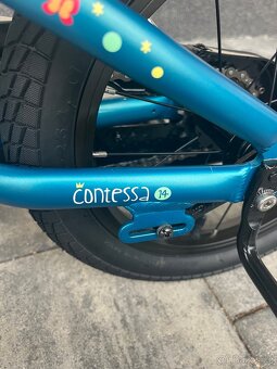 Kolo Scott contessa 14 - 7