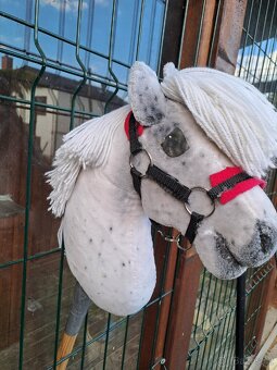Hobby Horse - 7