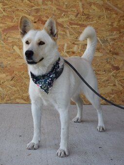 🌸 Zaira – veselá parťačka do života 🌸 - 7