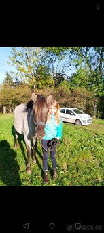 Pony valášek - 7