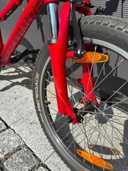 Hotrock 20 Specialized - 7