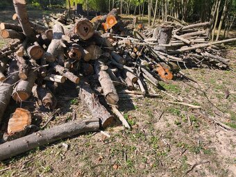Prodám převážně Tvrdé listnaté dřevo - 7