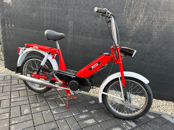BABETTA 207 PO RENOVACI - 7