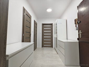 Pronájem 2+kk, 48m2 (Liberec - Vesec, ul. Fričova) - 7