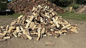 Štípané palivové dřevo - dovoz zdarma (Jižní Čechy) - 7