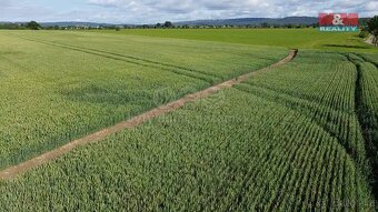 Prodej pole, 11877 m², Rožmitál pod Třemšínem - 7