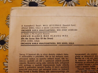 SP deska ružné druhy výběr dle foto 4 - 7