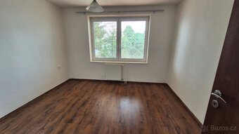 Prodej cihlového bytu 3+1 v Hrušovanech nad Jevišovkou - 7