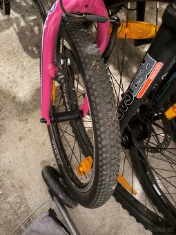 Author record 20” - 7