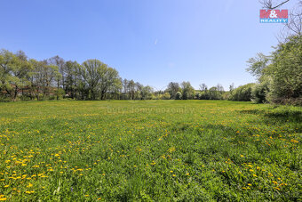 Prodej pozemku, 4590 m², Horní Bříza - 7