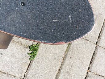 Longboard Oxelo - 7
