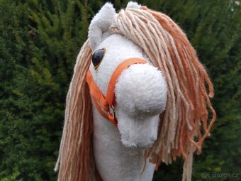 Hobby horse - 7