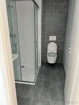 Pronájem bytu 2KK - 7