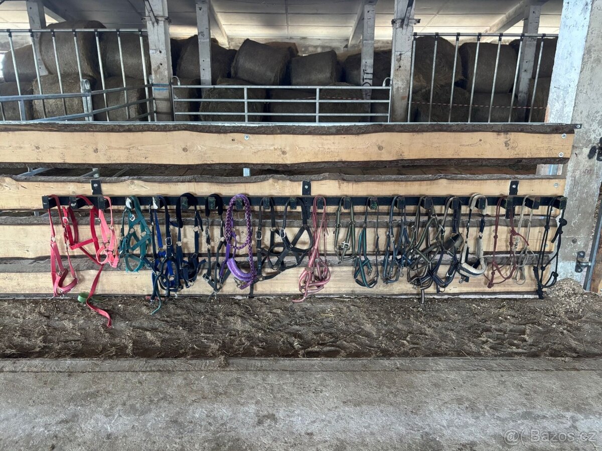 Ustájení a výcvik koní - 8