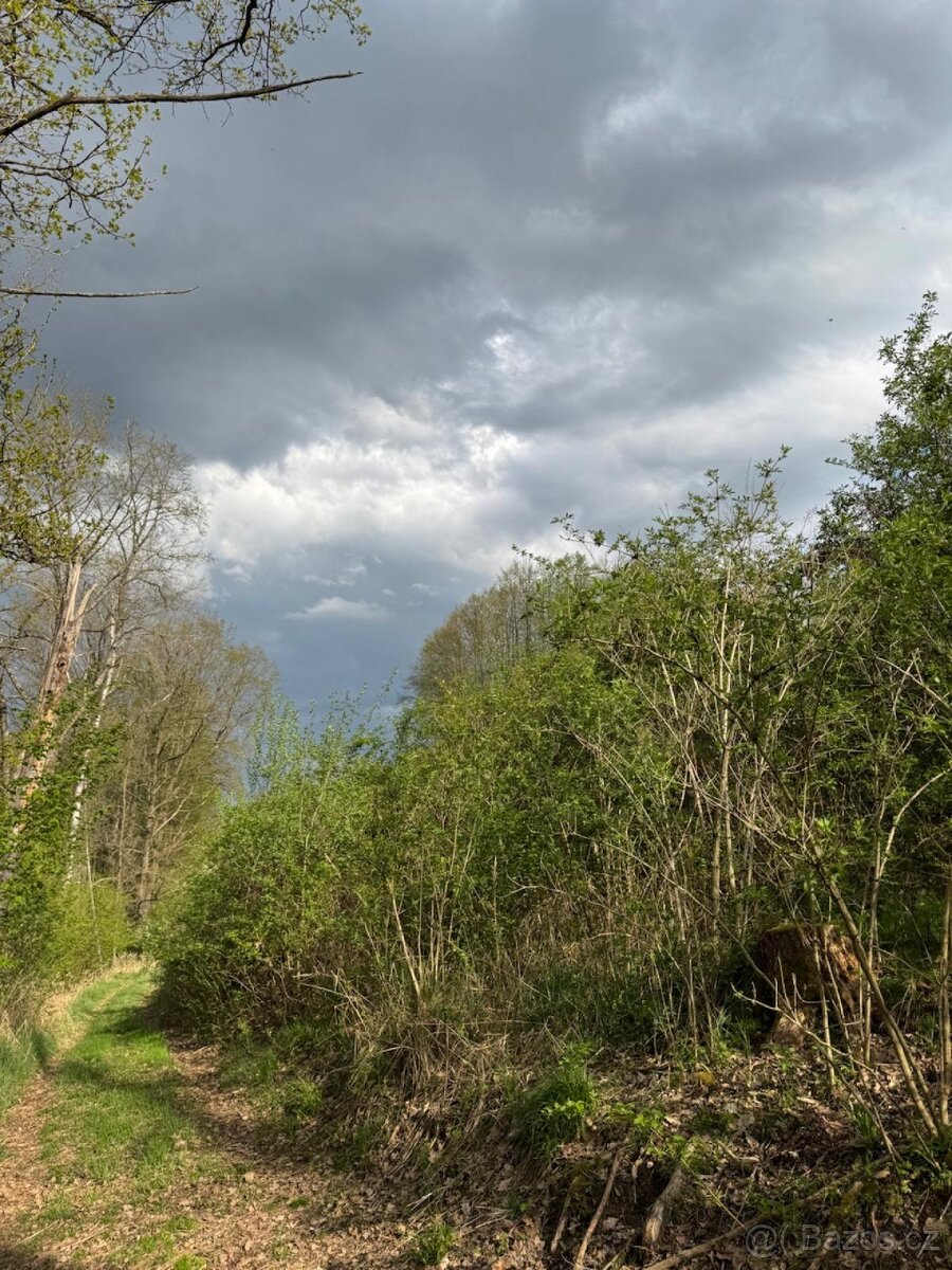 Prodám pozemky v katastrálním území Zahorčice u Vrábče - 8