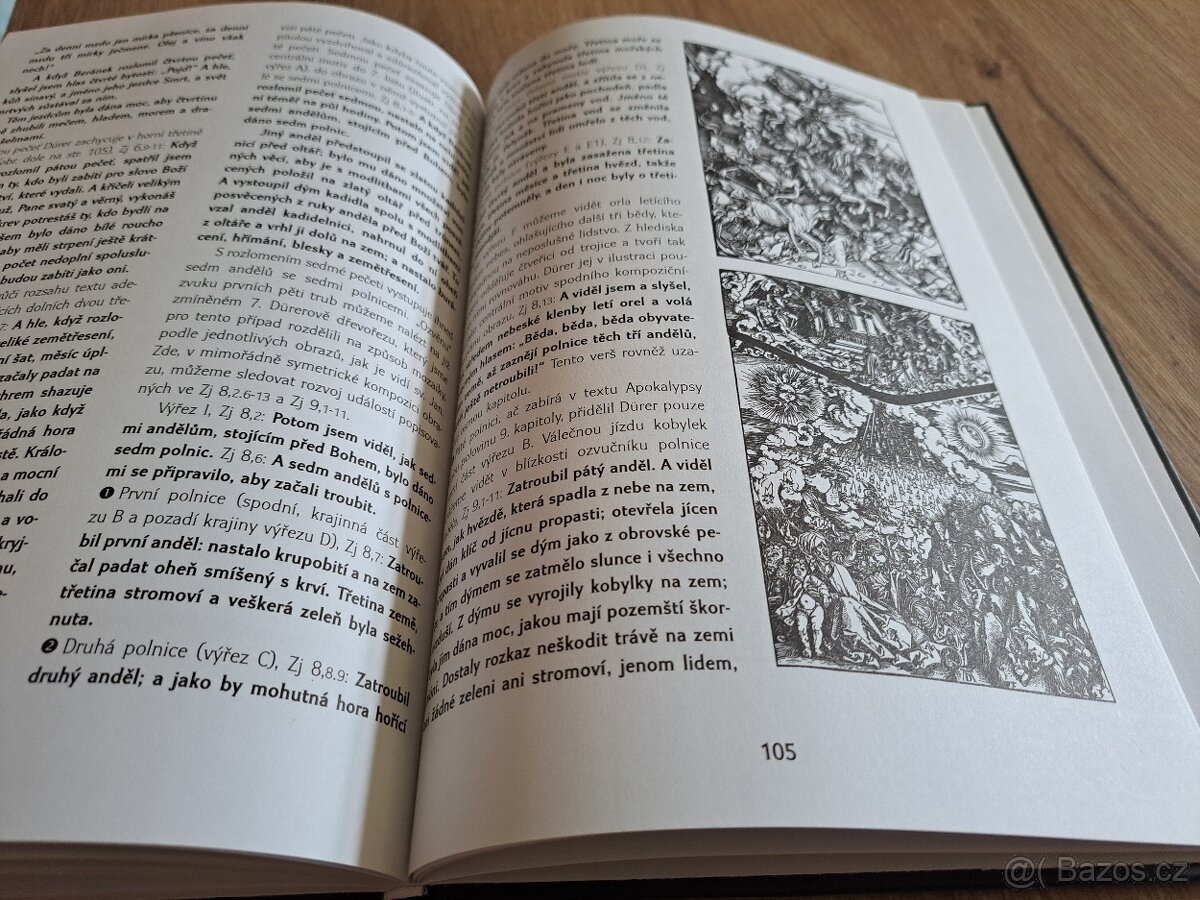 Apokalypsa a tarot ,Moučka - 8