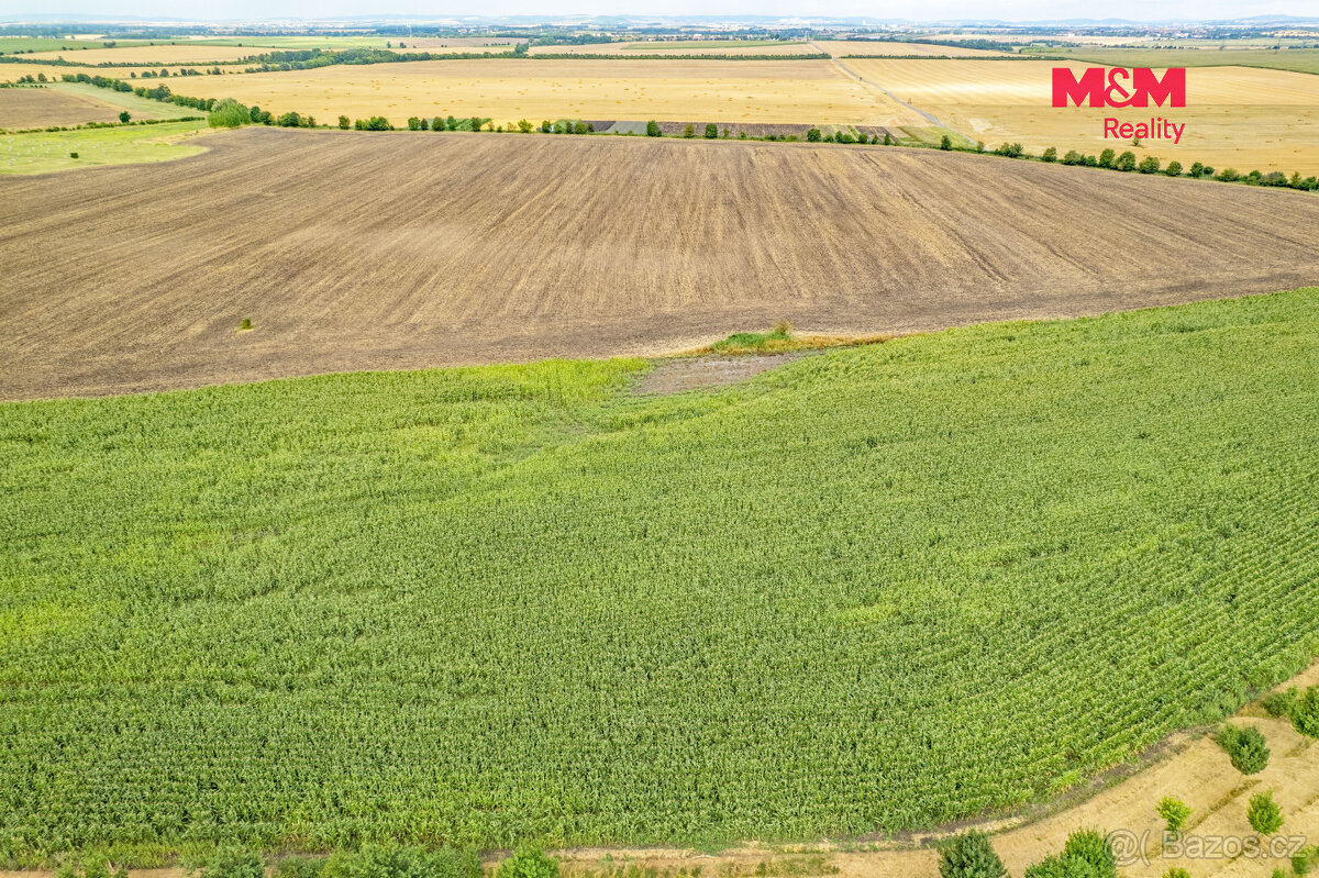 Prodej pole, 25.490 m², Žatčany - 8