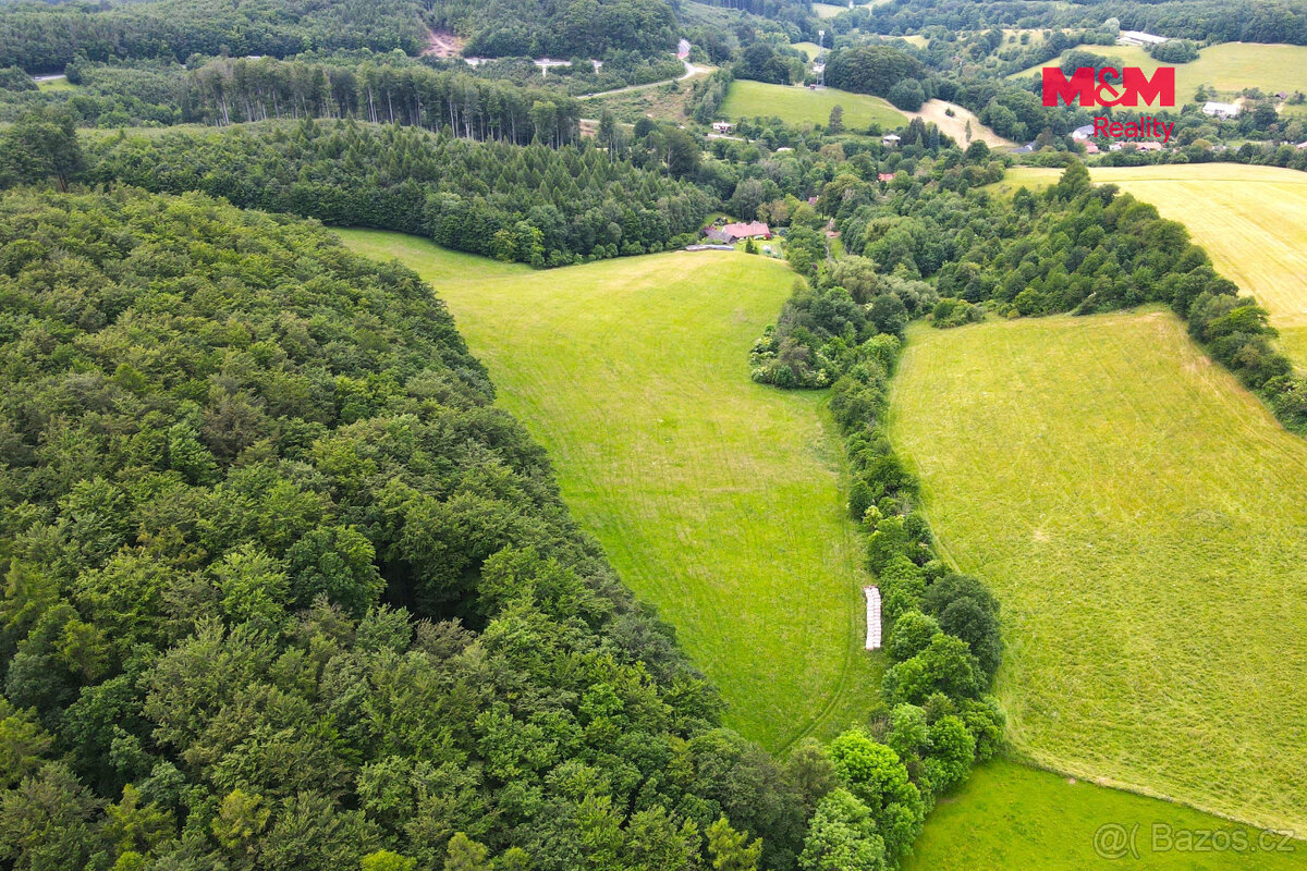 Prodej louky, 11031 m², Staré Hutě - 8