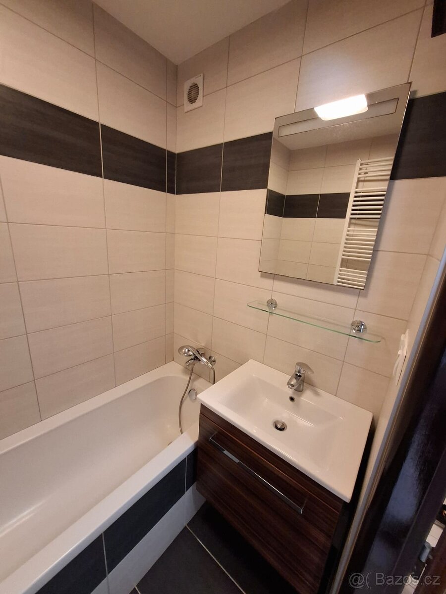 Pronájem bytu 2+1 Tišnov - 8