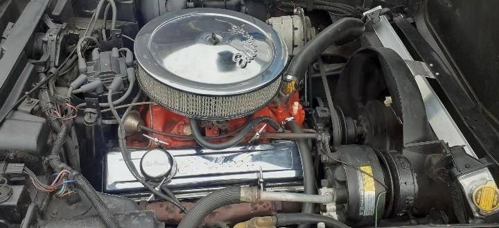 Chevrolet Corvette z roku 1977 - 8