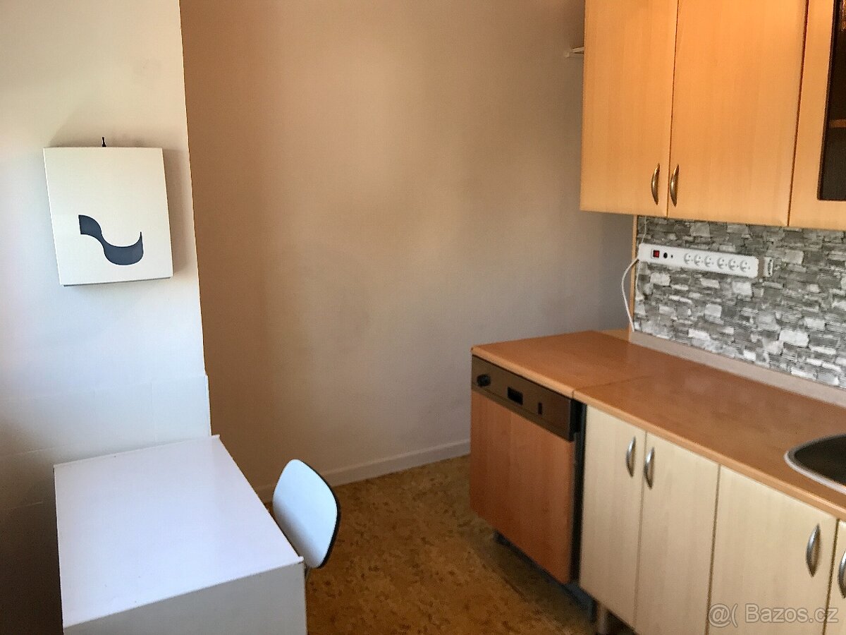 Pronájem 3+1, POD HVĚZDÁRNOU - 8
