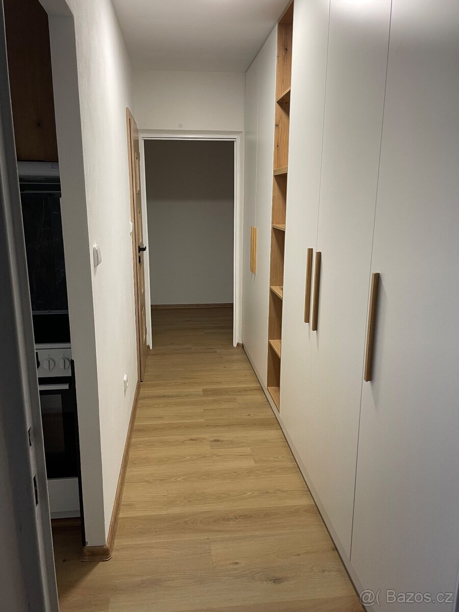 Dobrý den pronajmu byt 3+1 - 8