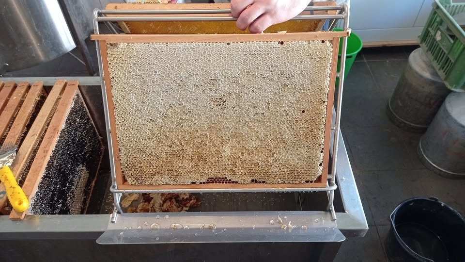 Medový balíček - 8