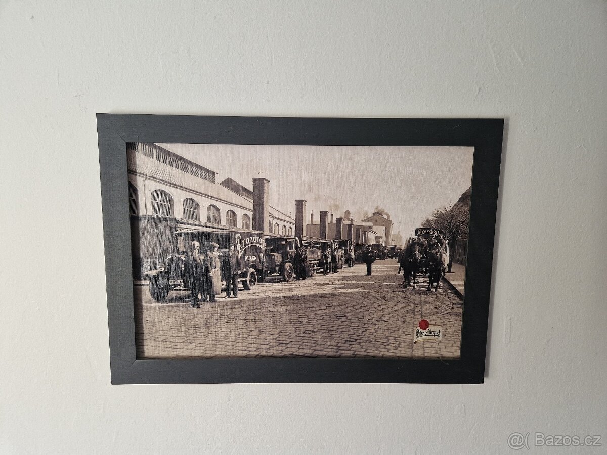 Obrazy pivovar Plzeň - 8