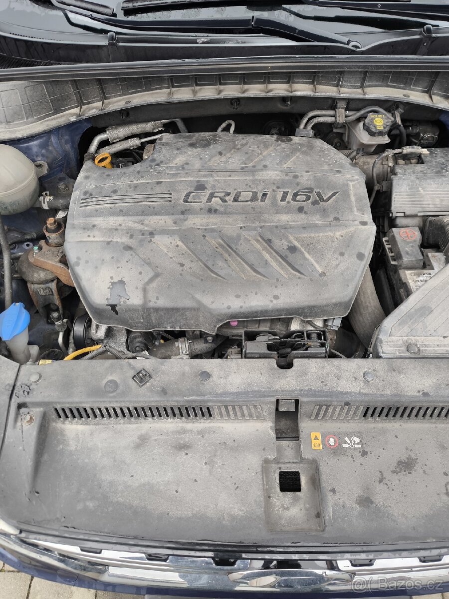 Hundaj Tukson 2020 - 8