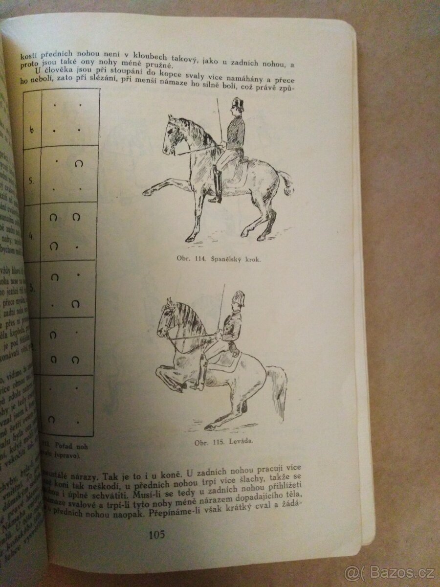 Jezdec a kůň - Bruno Jaksch (1937) - 8