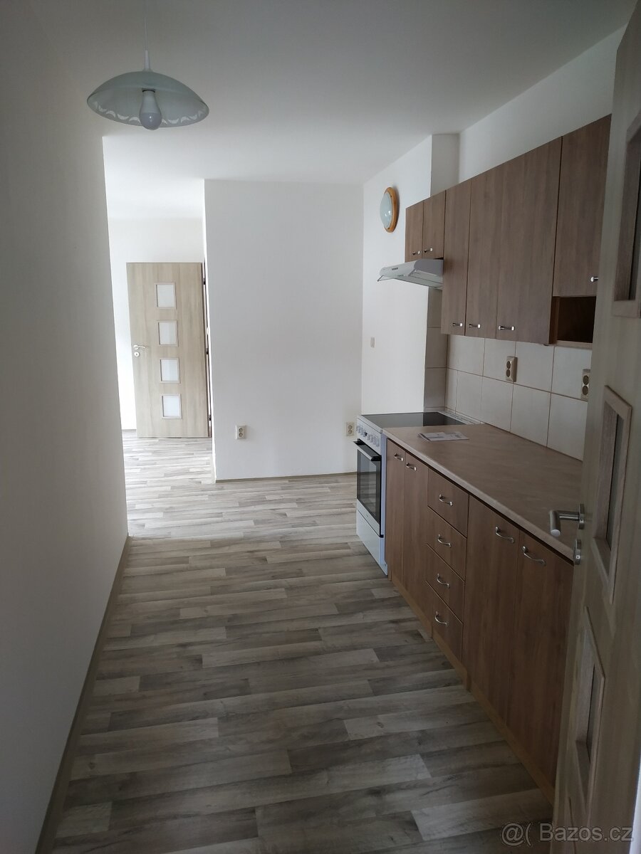 Pronájem byt 3kk Domažlice - 8