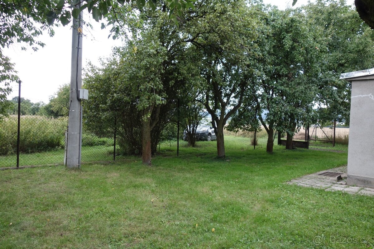 Zahrada - polosamota - 8