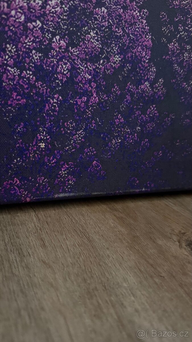 Fotoobraz - Levandulové pole - 8