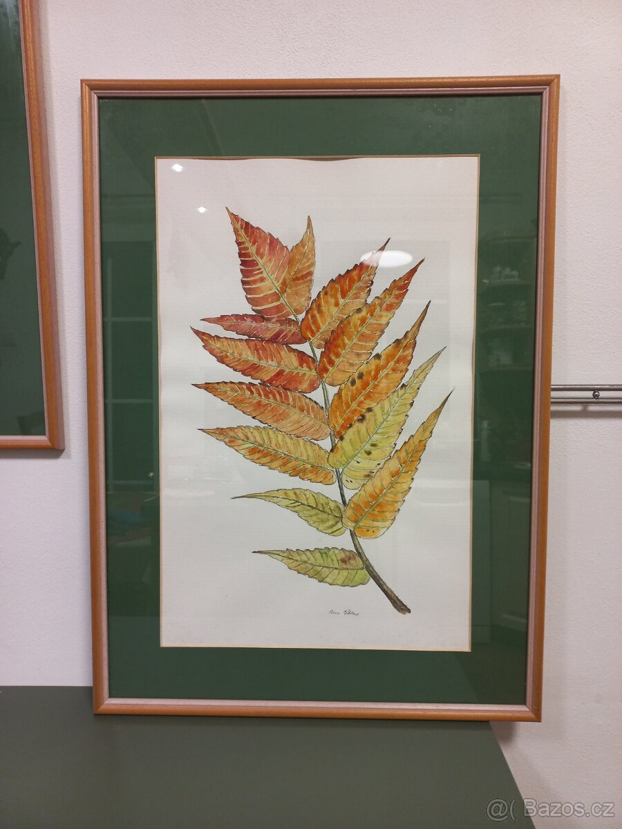 Obraz akvarel II - 8