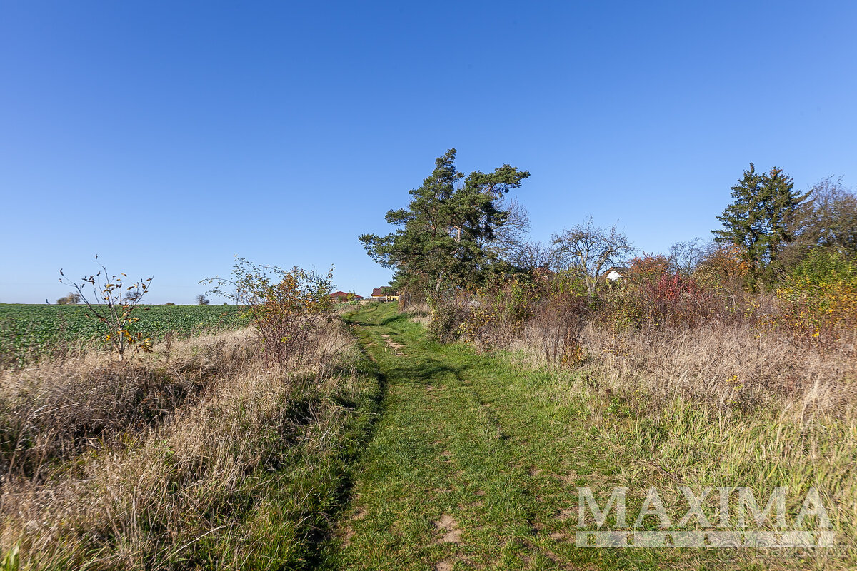 Pozemek o ploše 935 m2 - Dobříč, Dobříč - 8