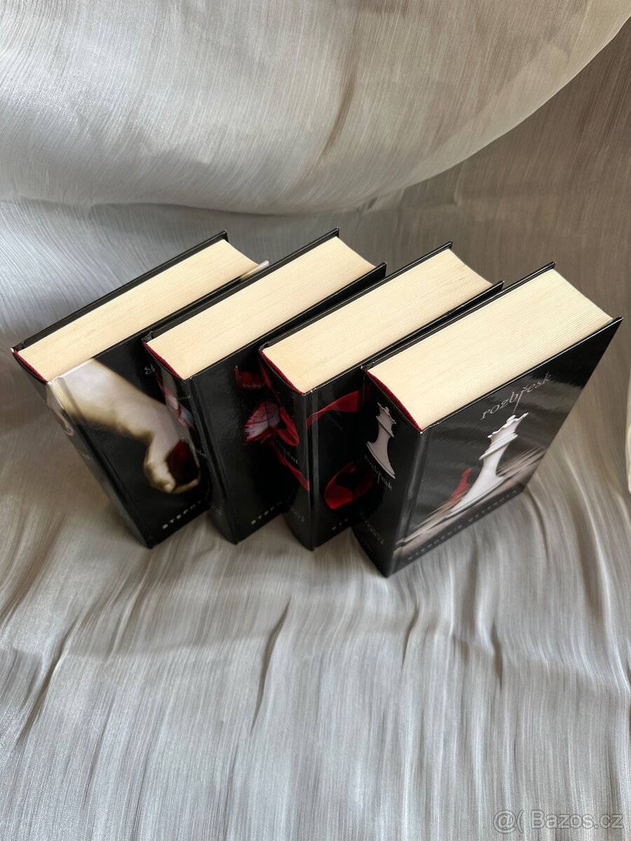 Meyer, Ciccarelli a Renee - 8