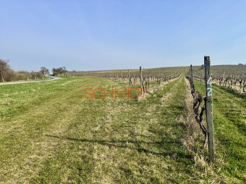 Prodej sadu, vinice 11748 m² - 8