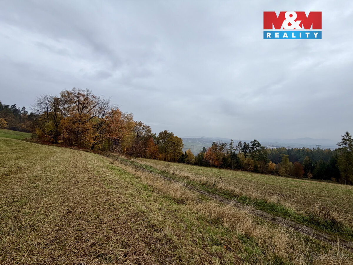 Prodej lesa, 6855 m², Jestřebí - 8