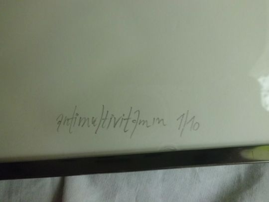 OBRAZY - Moderní Umění - Velké GRAFIKY - asi USA - signované - 8